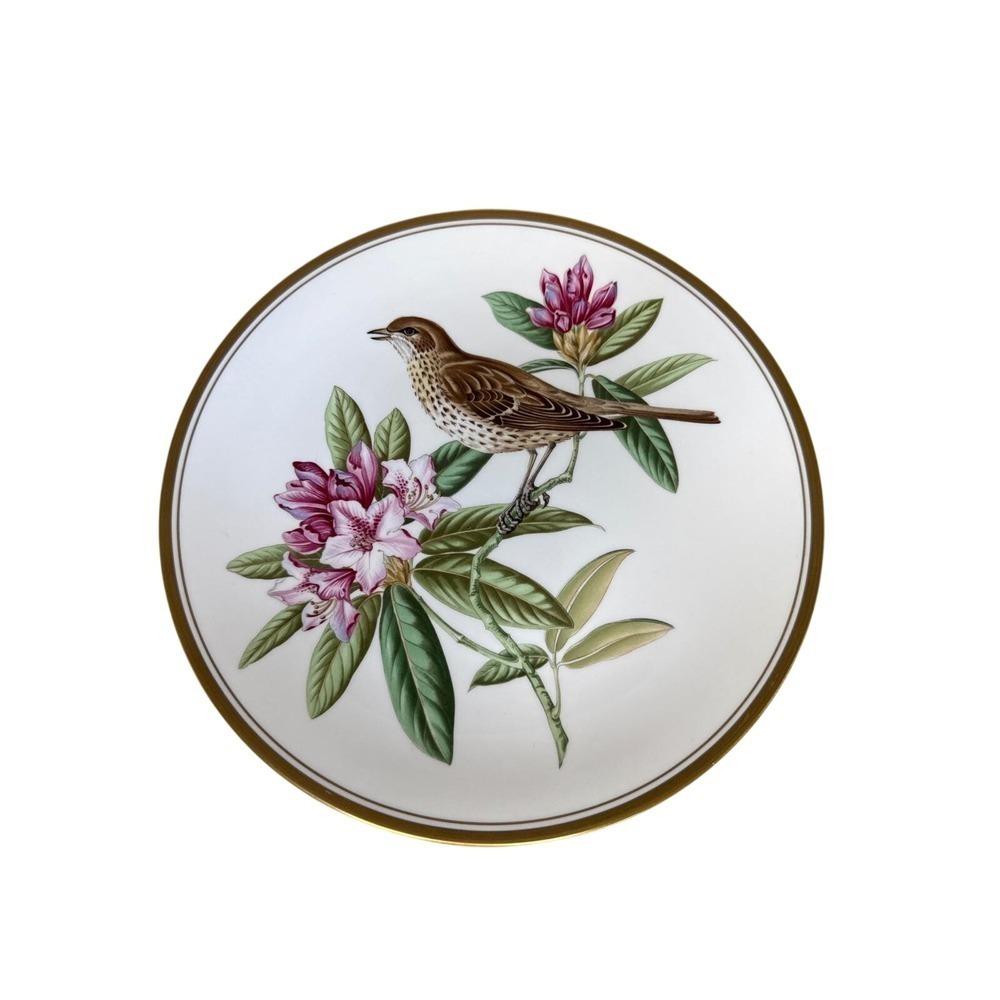 Spode Garden Birds Plate No. 5 of 6 Mistle Thrush Plate England Gold Trim 9.5" - Picture 2 of 7